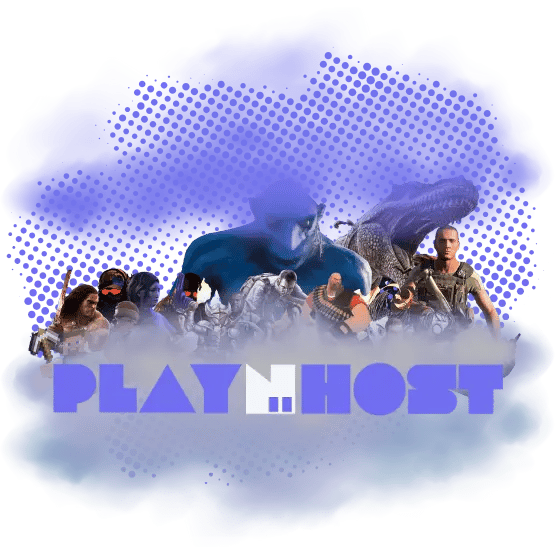 ABOUT PLAYNHOST