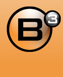 BIG BROTHER BOT