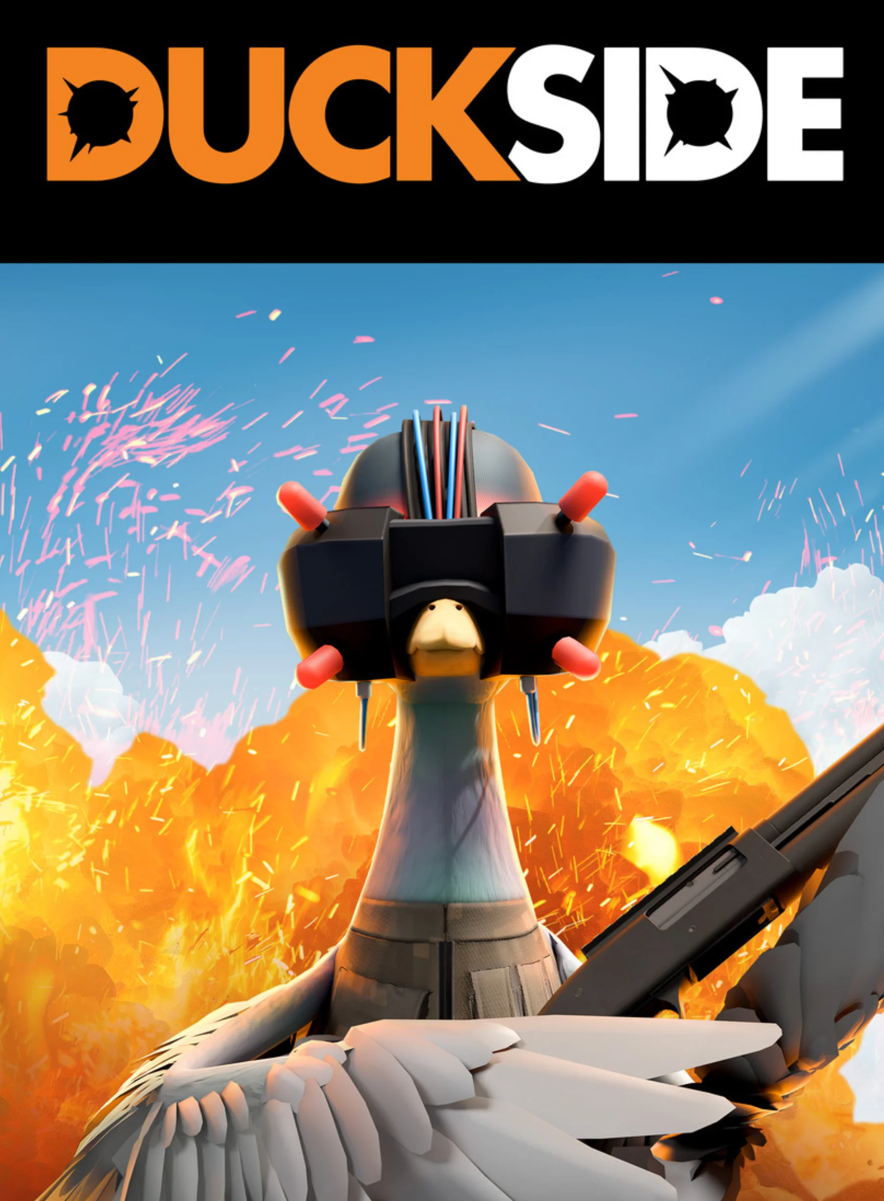 DUCKSIDE