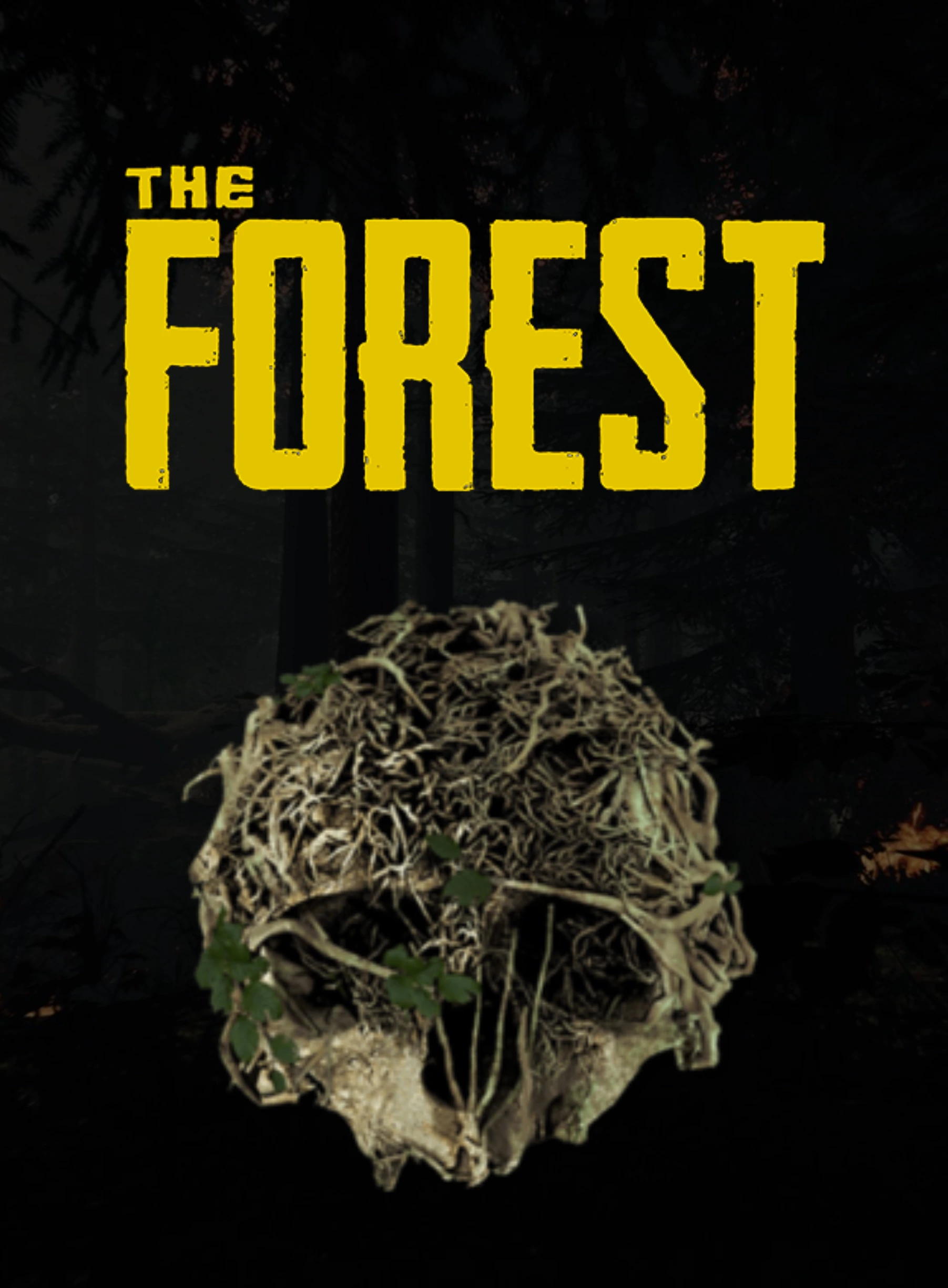 THE FOREST