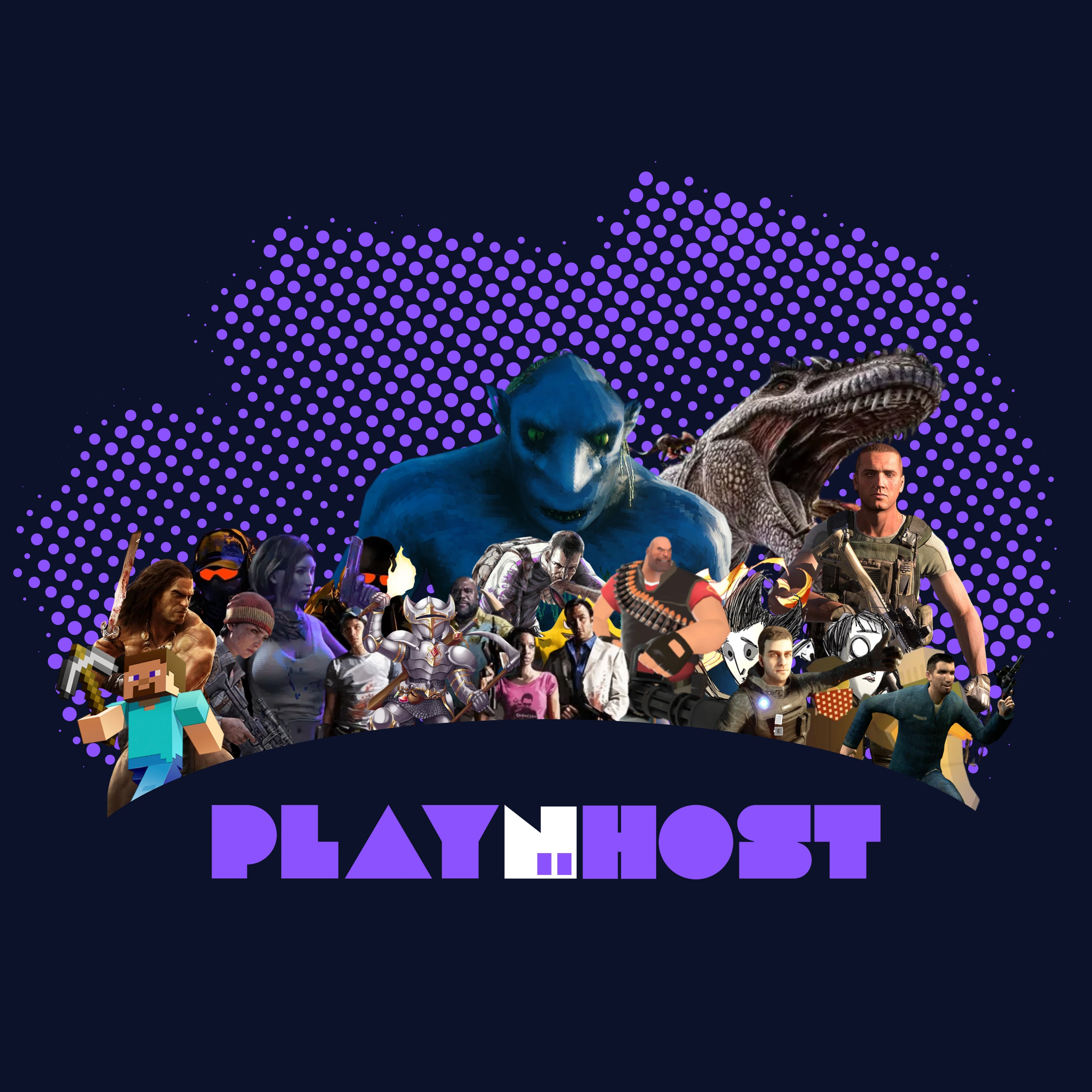 ABOUT PLAYNHOST